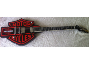 HarleyDavidson