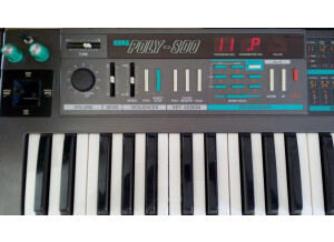 Korg Poly-800 (99377)