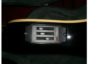 Yamaha AEX 500N