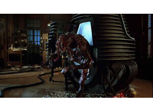 the fly2
