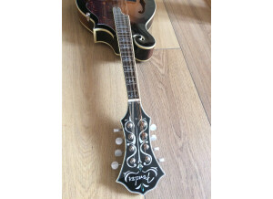 Fender FM-63S F Style Mandolin