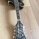 FM-63S F Style Mandolin FM-63S F Style Mandolin