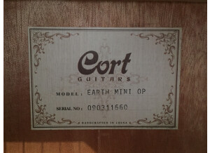 Cort Earth-Mini (22579)