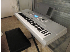 Yamaha DGX-220 (81448)