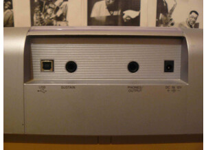 Yamaha DGX-205 (41581)