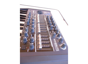 Arturia MiniBrute (7499)