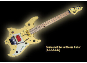 bfoot vigier bbfscg