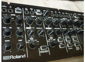 Roland SYSTEM-1m (95772)