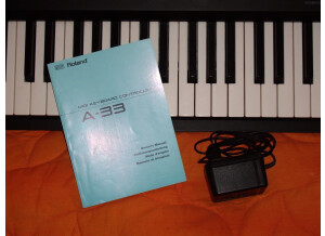 Roland A-33 (33378)