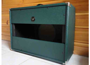 Ampeg SVT-15E (48862)