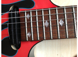 B.C. Rich Body Art Collection Jr. V (6824)