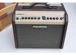 Fishman Loudbox Mini (94793)