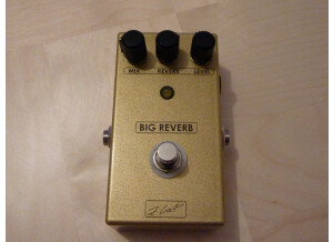 Z.Cat Big Reverb (63714)