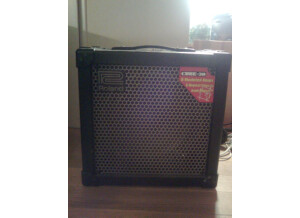Roland Cube-30 (1415)