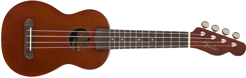 Fender Venice : Fender Venice (70577)