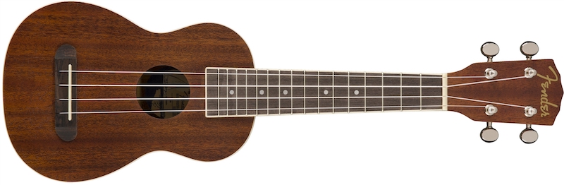 Fender Seaside : Fender Seaside (69806)