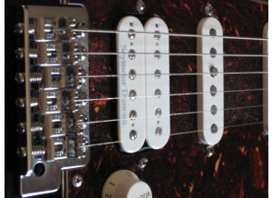 Fender Stratocaster Lone Star