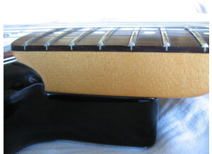 Fender Stratocaster Lone Star