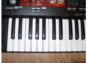 Roland SH-201 (36256)