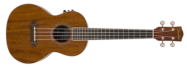 Fender Rincon : Fender Rincon (81134)