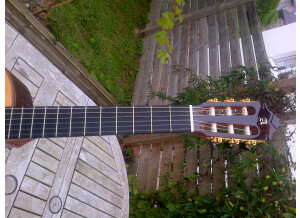 Alhambra Guitars 9C