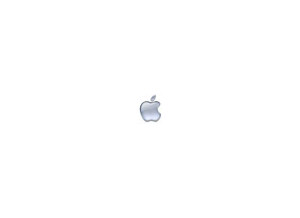 apple logo 30