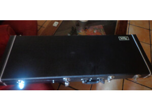 Ibanez TM1730 & TM1730M (3668)