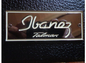 Ibanez TM1730 & TM1730M (83840)