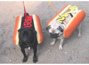 hot dog vivants