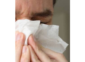 les allergiques aux pollens du bouleau risquent de declencher conjonctivites rhinites toux ou encore asthme 13706 w250