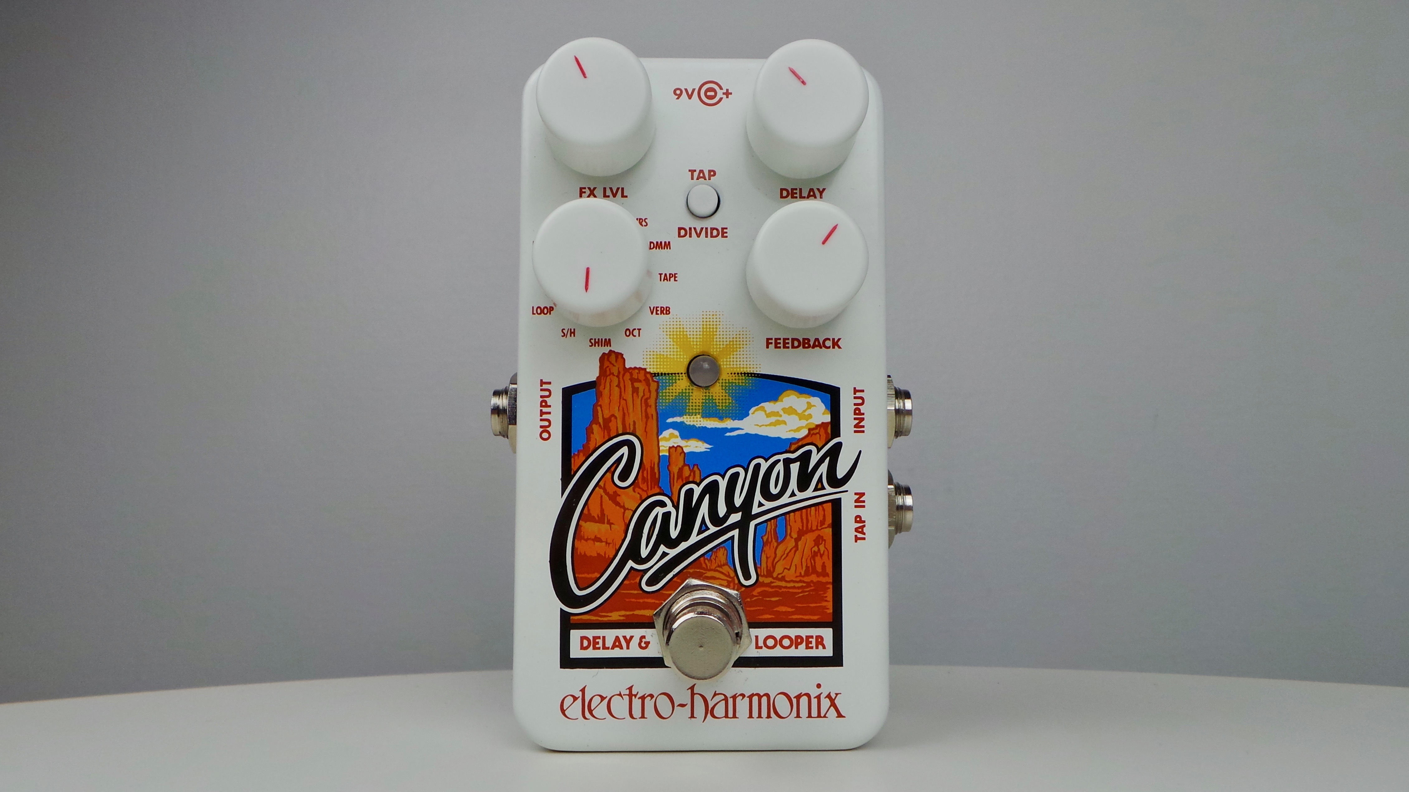Electro-Harmonix Canyon : Electro-Harmonix Canyon (8626)