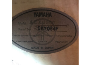 Yamaha AEX1500