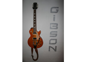 Gibson Les Paul Signature Gary Moore (94852)