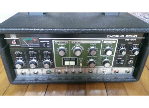 Roland RE-301 Chorus Echo (65166)