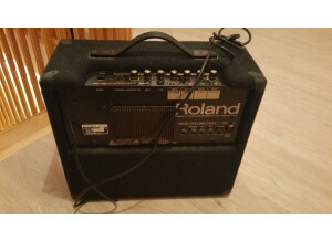 Roland KC-100 (48270)