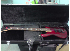 Spector ReBop 4 DLX (52325)