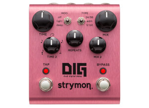 Strymon DIG (2690)