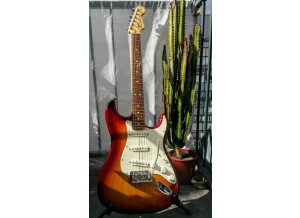 Fender American Standard Stratocaster [2008-2012] (66698)