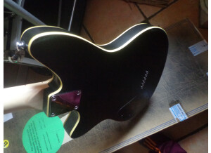 Ibanez CMM2 Chris Miller (7509)