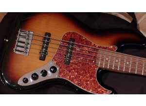 Fender Mexico Deluxe Series - Zone Bass V Ssb