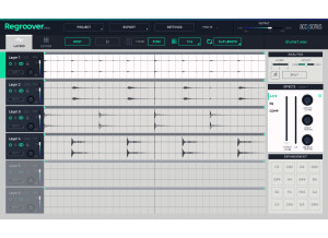 Accusonus Regroover Pro