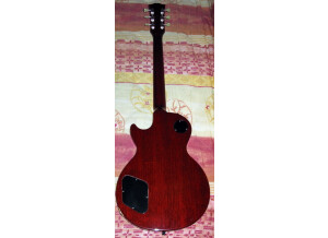 Gibson Les Paul Series - Les Paul Standard 60 (85712)