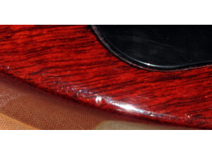 Gibson Les Paul Series - Les Paul Standard 60 (50485)
