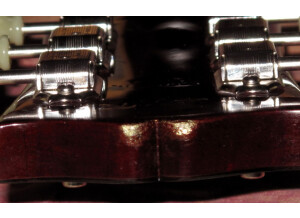 Gibson Les Paul Series - Les Paul Standard 60 (25889)