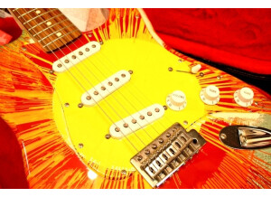 Fender Stratocaster Splatter (14320)