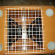 manifold B25/09 manifold B25/09