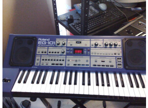 Roland EG-101 (85114)