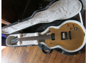 Gibson Les Paul BFG (11321)