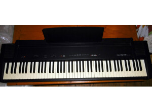 Roland EP-9e (80710)