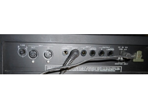 Roland EP-9e (39090)